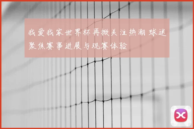 我爱我家世界杯再掀关注热潮 球迷聚焦赛事进展与观赛体验