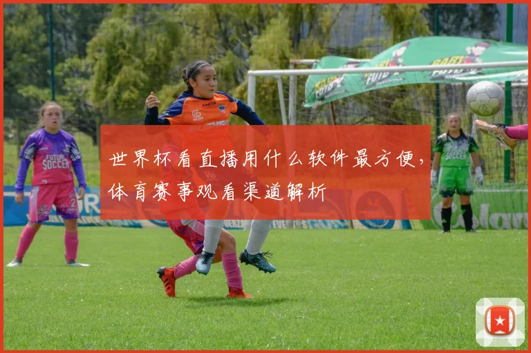 世界杯看直播用什么软件最方便,体育赛事观看渠道解析