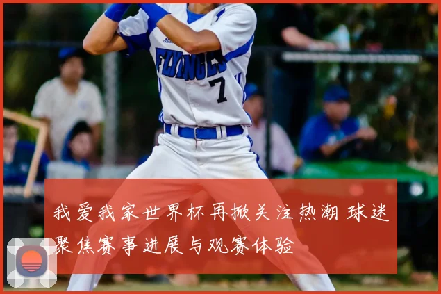 我爱我家世界杯再掀关注热潮 球迷聚焦赛事进展与观赛体验