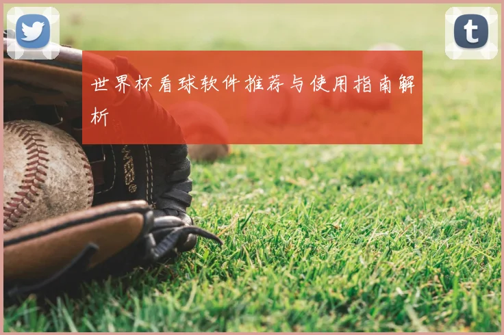 世界杯看球软件推荐与使用指南解析